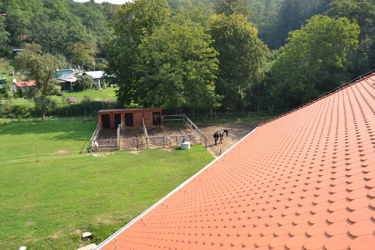 Podskalni Mlyn Hotel Ostopovice Luaran gambar